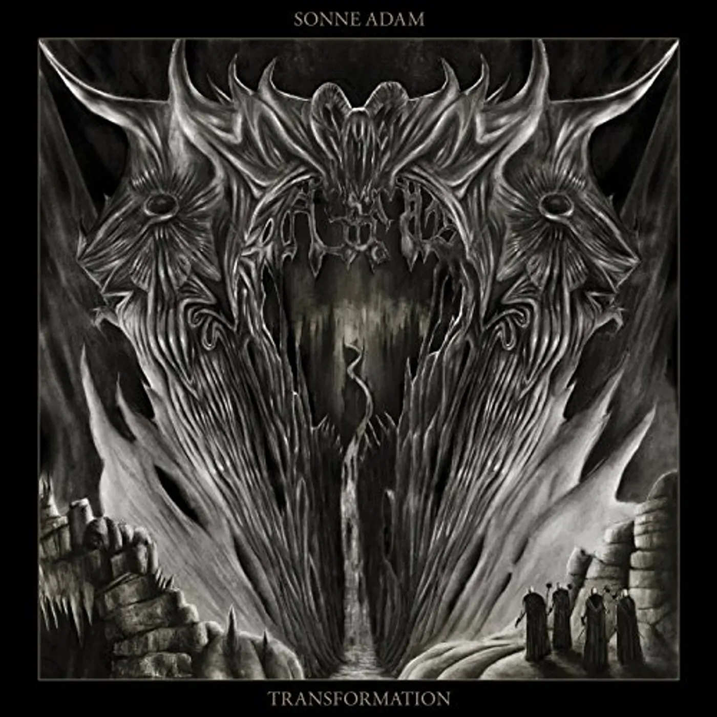 SONNE ADAM - TRANSFORMATION (PICTURE VINYL) Vinyl Record