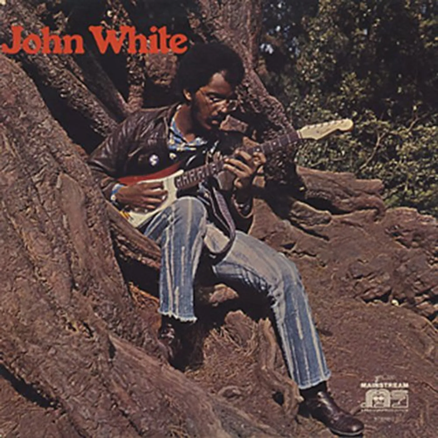 JOHN WHITE CD