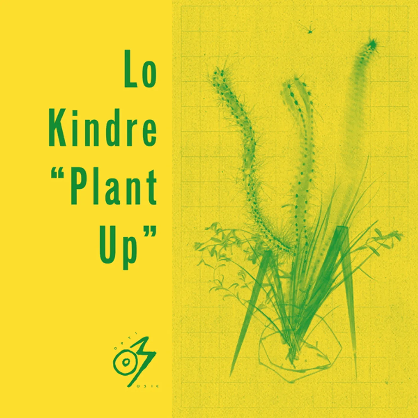 Lo Kindre PLANT UP Vinyl Record