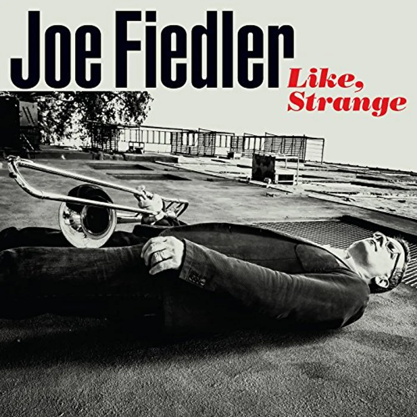 Joe Fiedler LIKE STRANGE CD