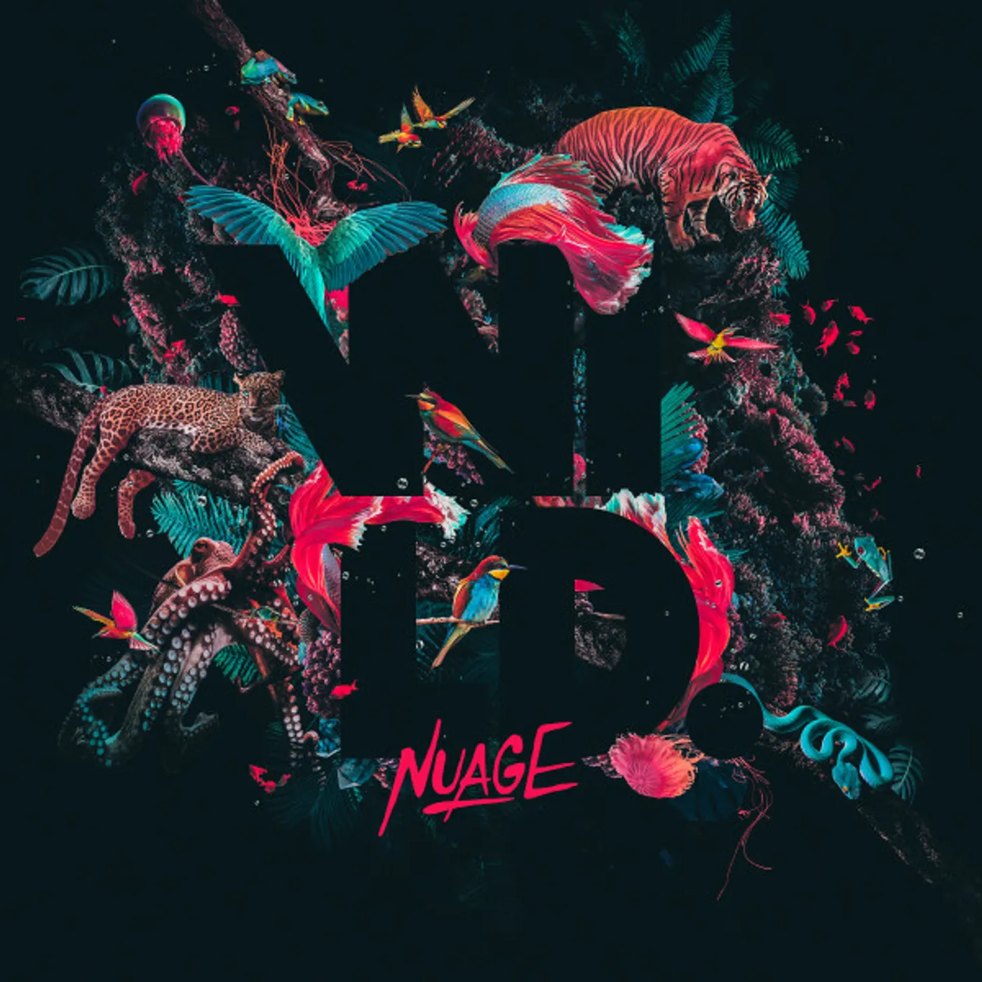 Nuage Wild Vinyl Record