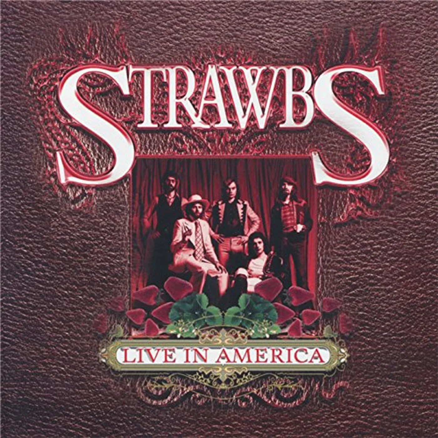 Strawbs LIVE IN AMERICA: LIMITED CD
