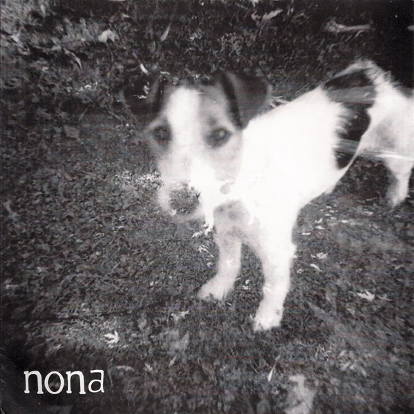 Crow Bait & Nona SPLIT Vinyl Record