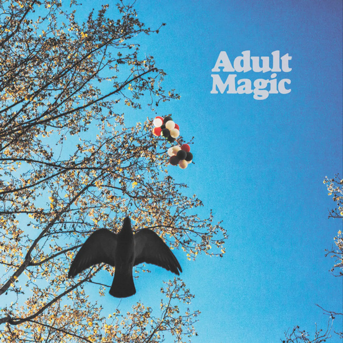 Adult Magic Vinyl Record