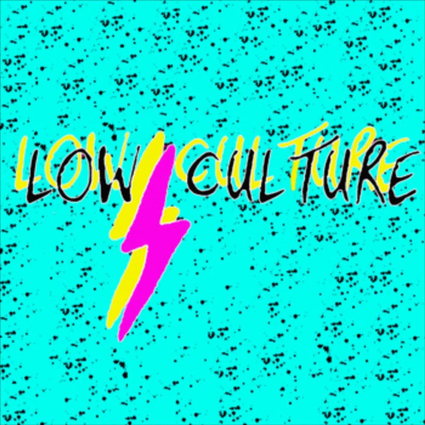 The Low Culture Vinyl Record