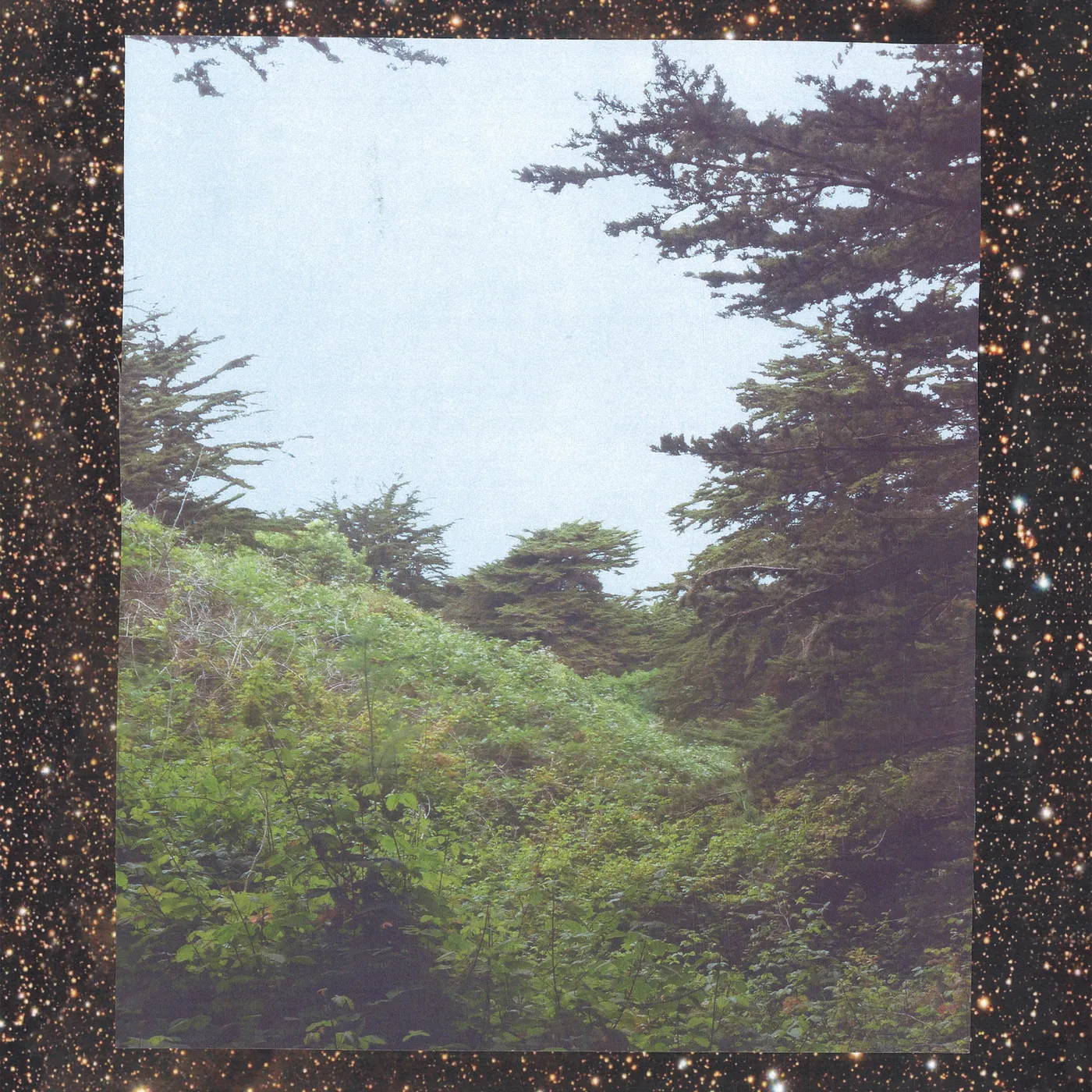 Jinsang Life Vinyl Record