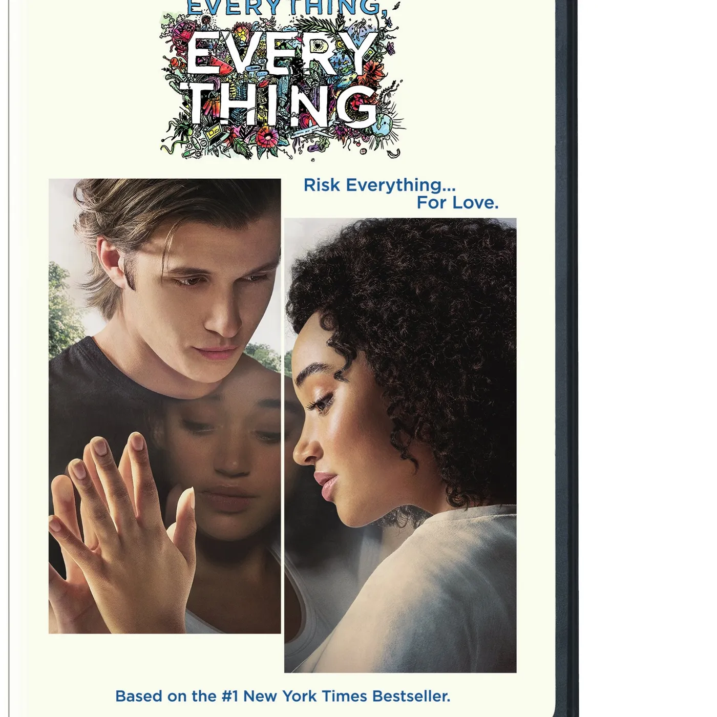 EVERYTHING EVERYTHING DVD