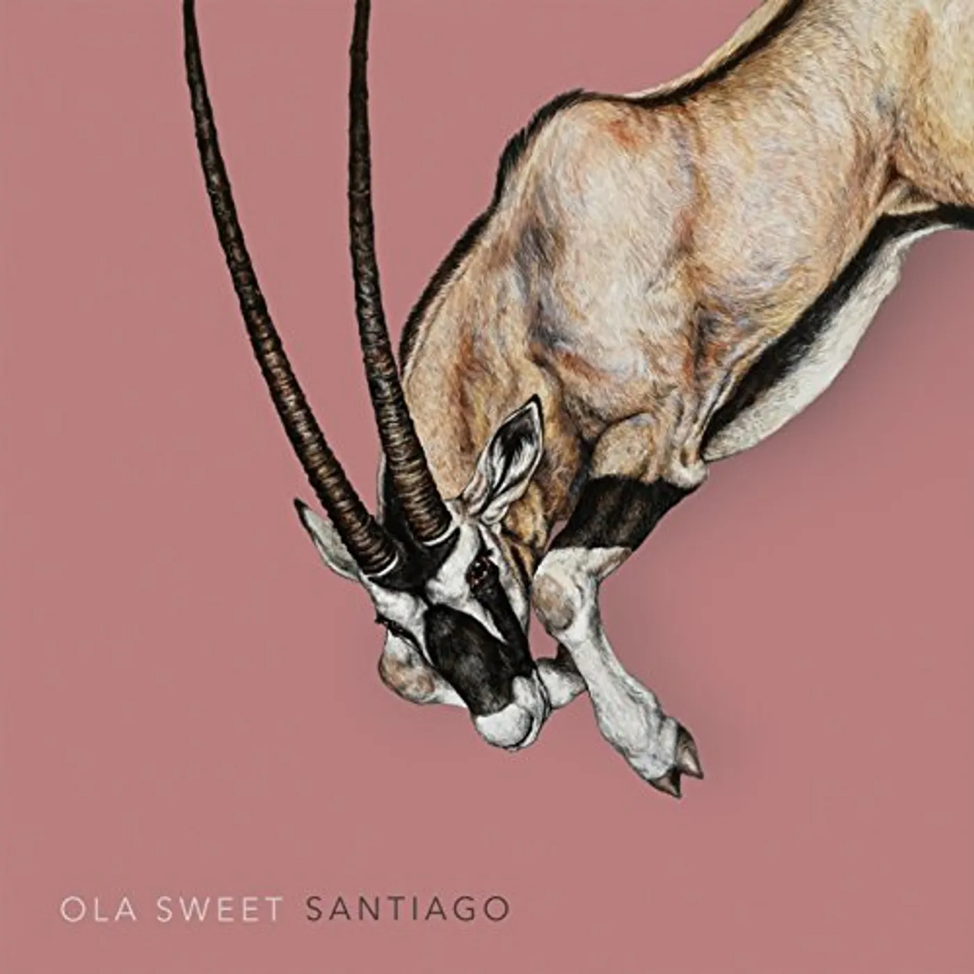 Ola Sweet SANTIAGO CD