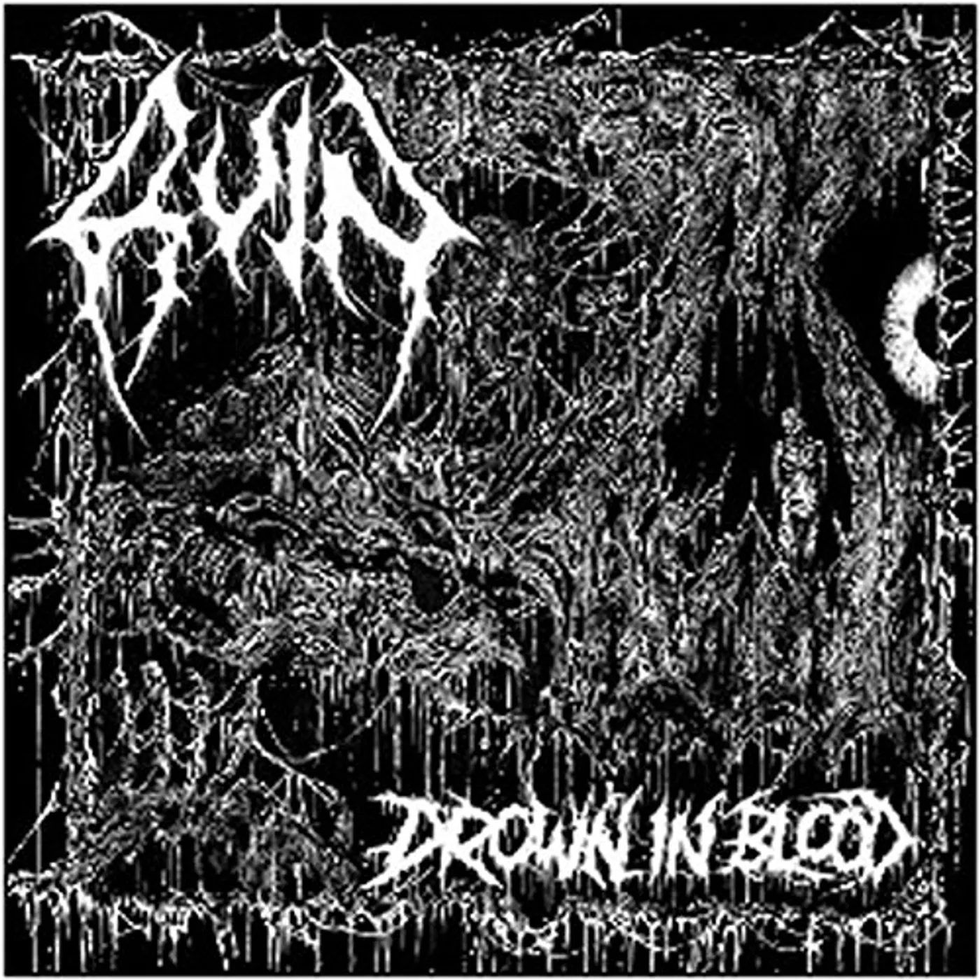 Ruin DROWN IN BLOOD CD
