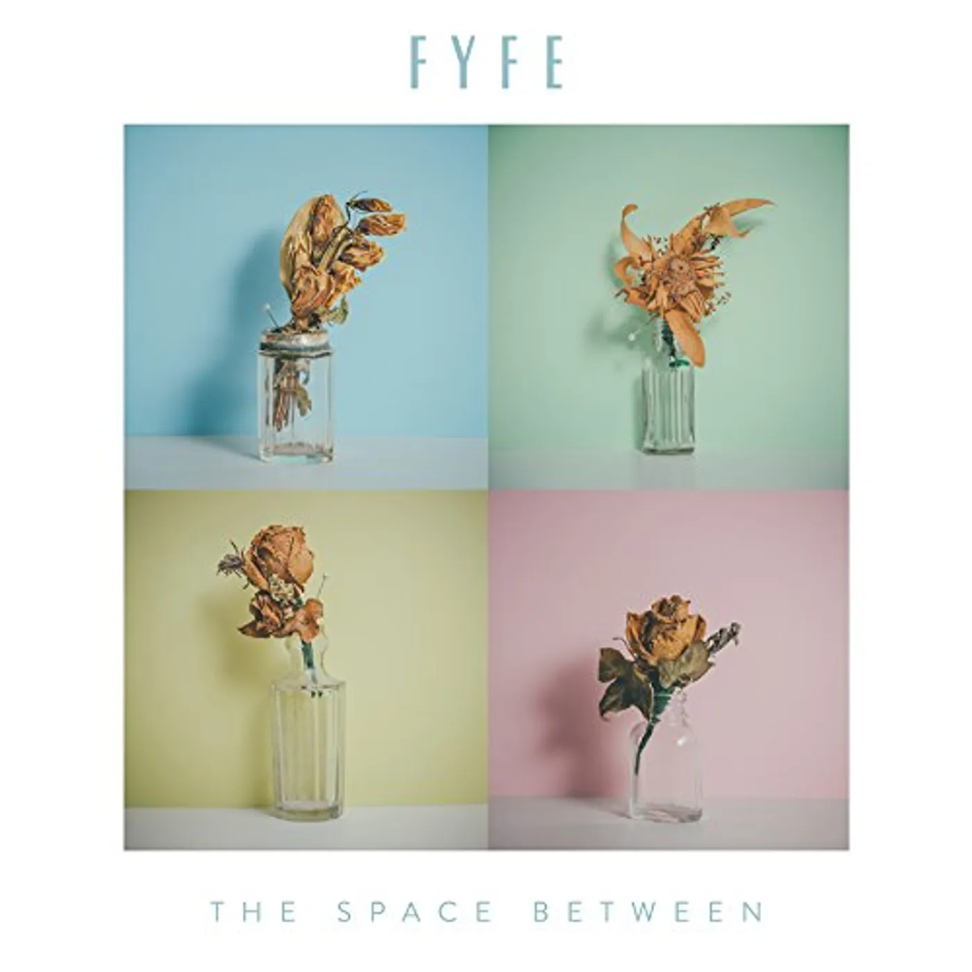 Fyfe SPACE BETWEEN CD