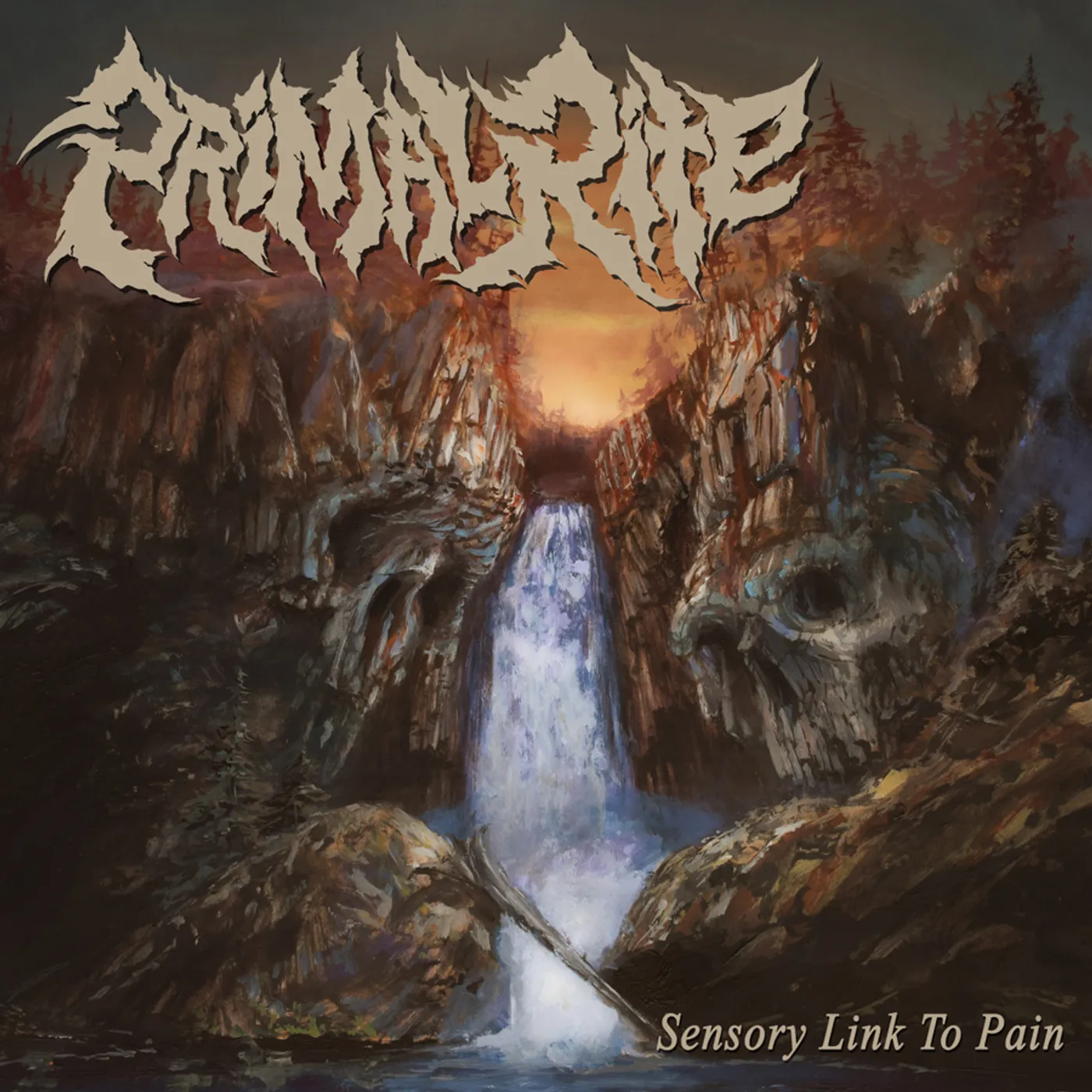 Primal Rite Sensory Link to Pain Vinyl Record