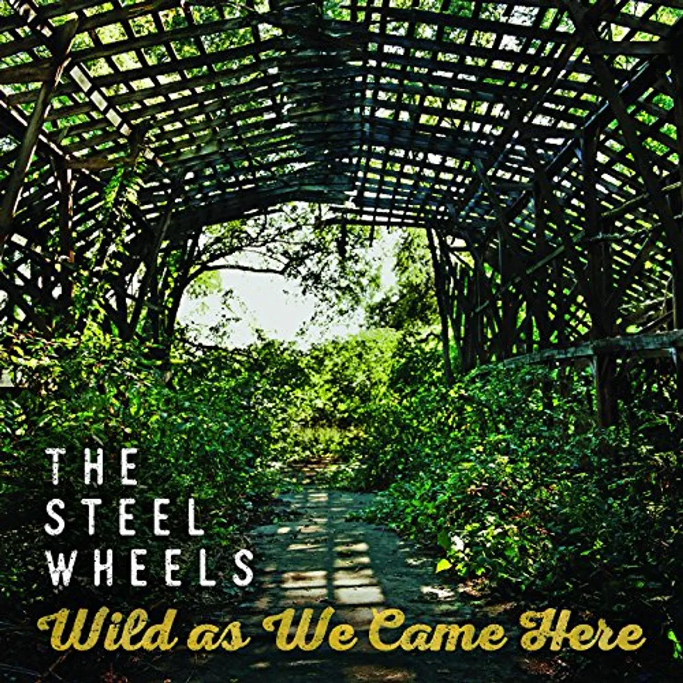 The Steel Wheels Wild as We Came Here Vinyl Record