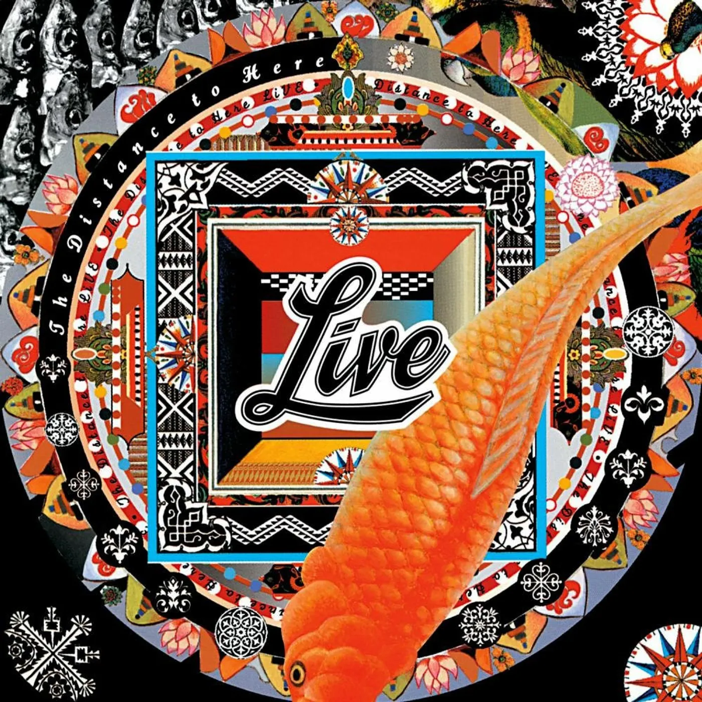 Live DISTANCE TO HERE Vinyl Record
