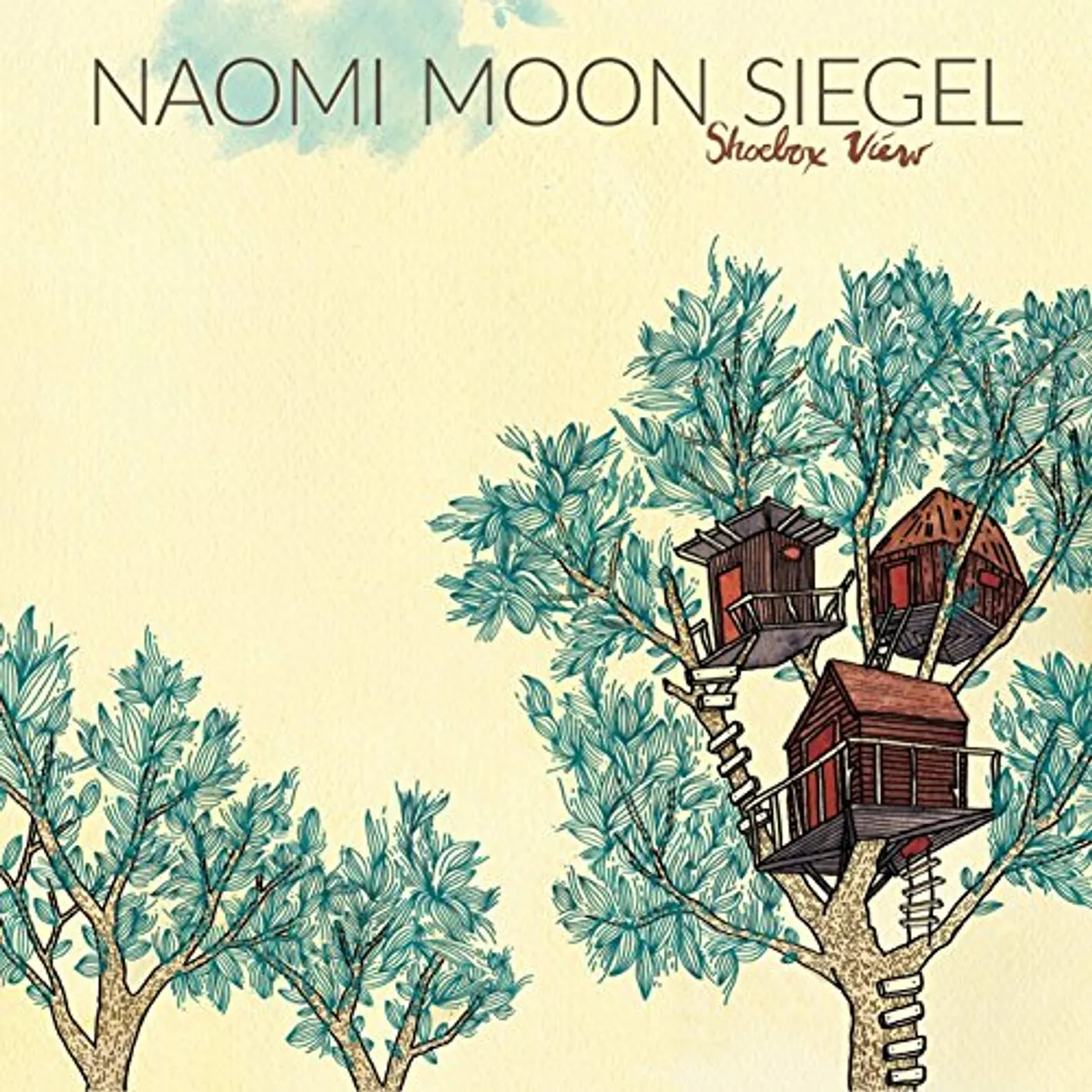 Naomi Moon Siegel Shoebox View Vinyl Record