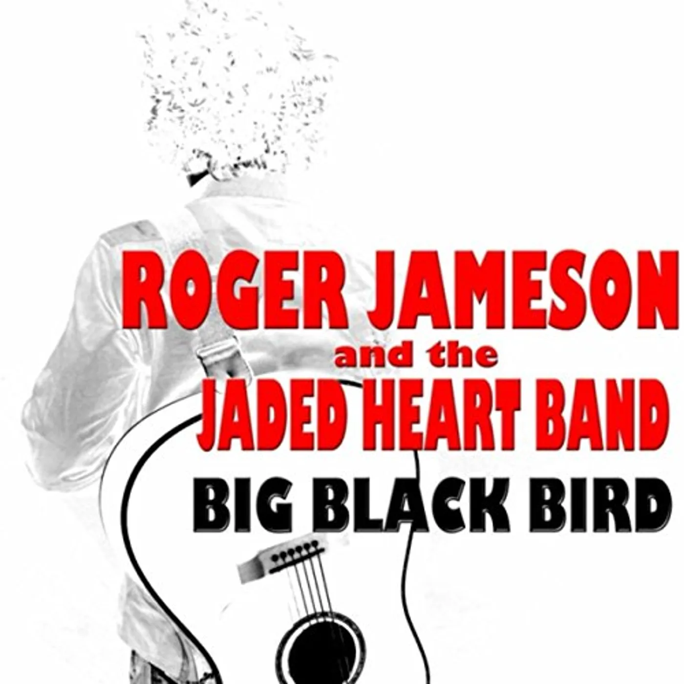 Roger Jameson Big Black Bird Vinyl Record