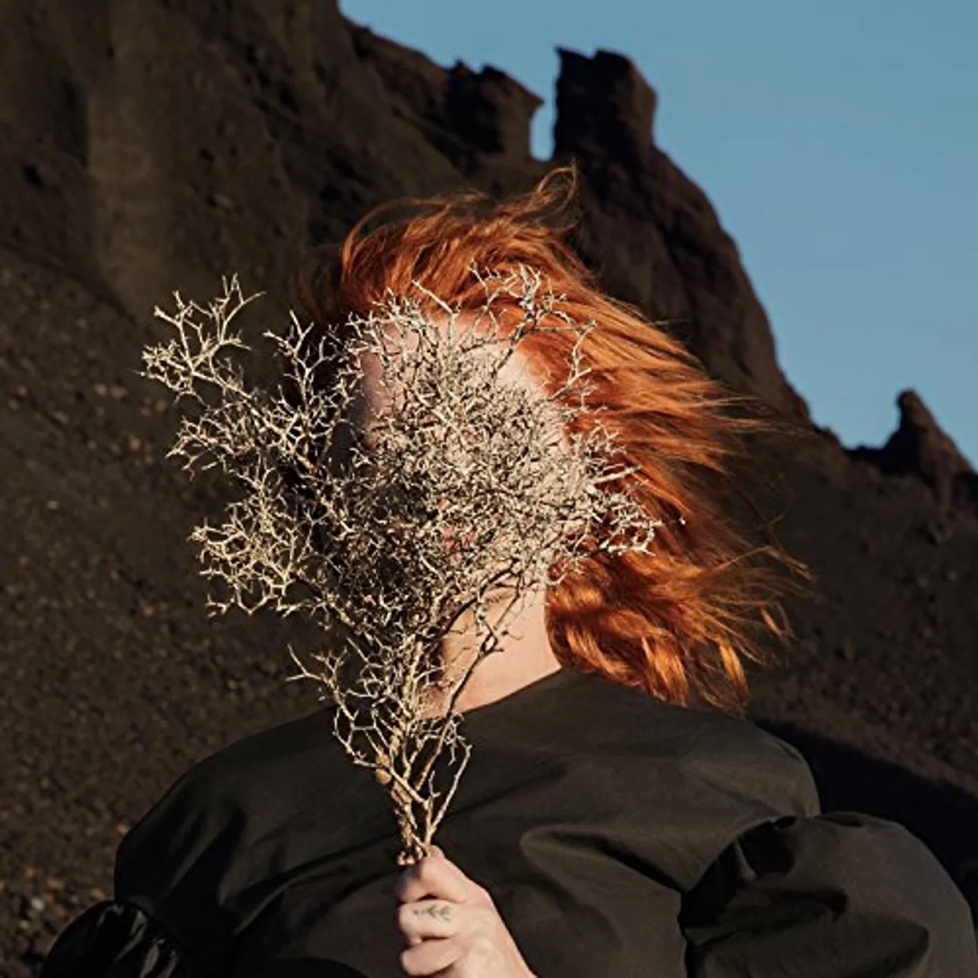 Goldfrapp SILVER EYE (CLEAR VINYL) Vinyl Record