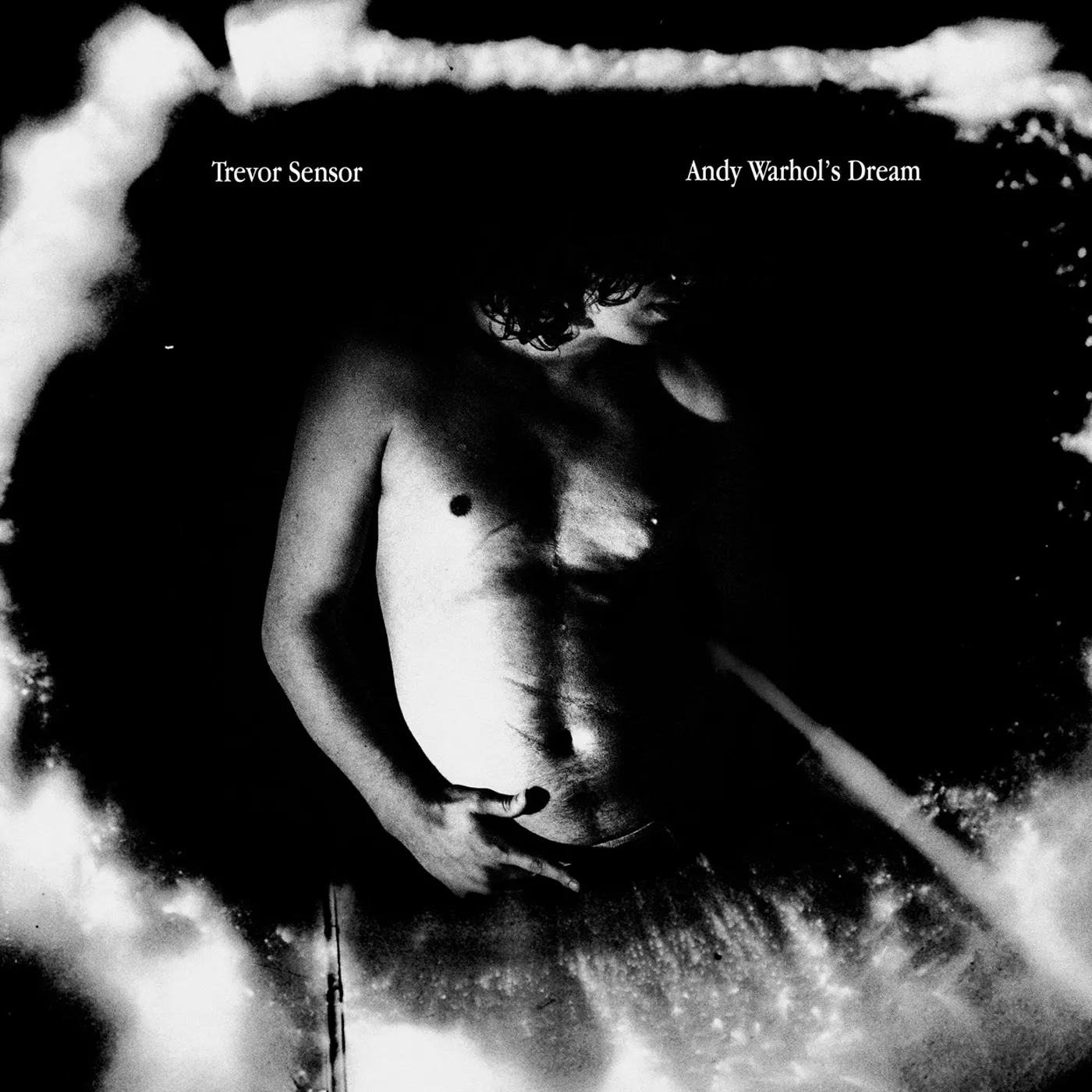 Trevor Sensor Andy Warhol's Dream Vinyl Record