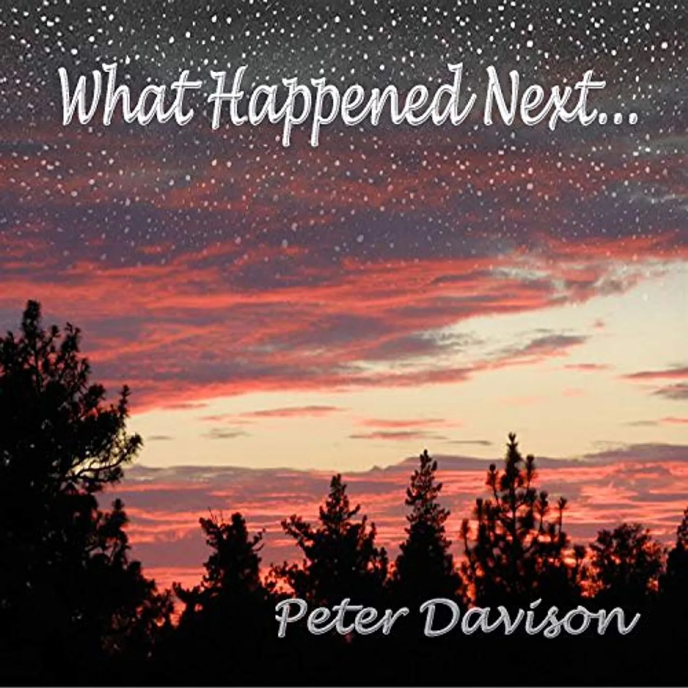 Peter Davison WHAT HAPPENED NEXT CD