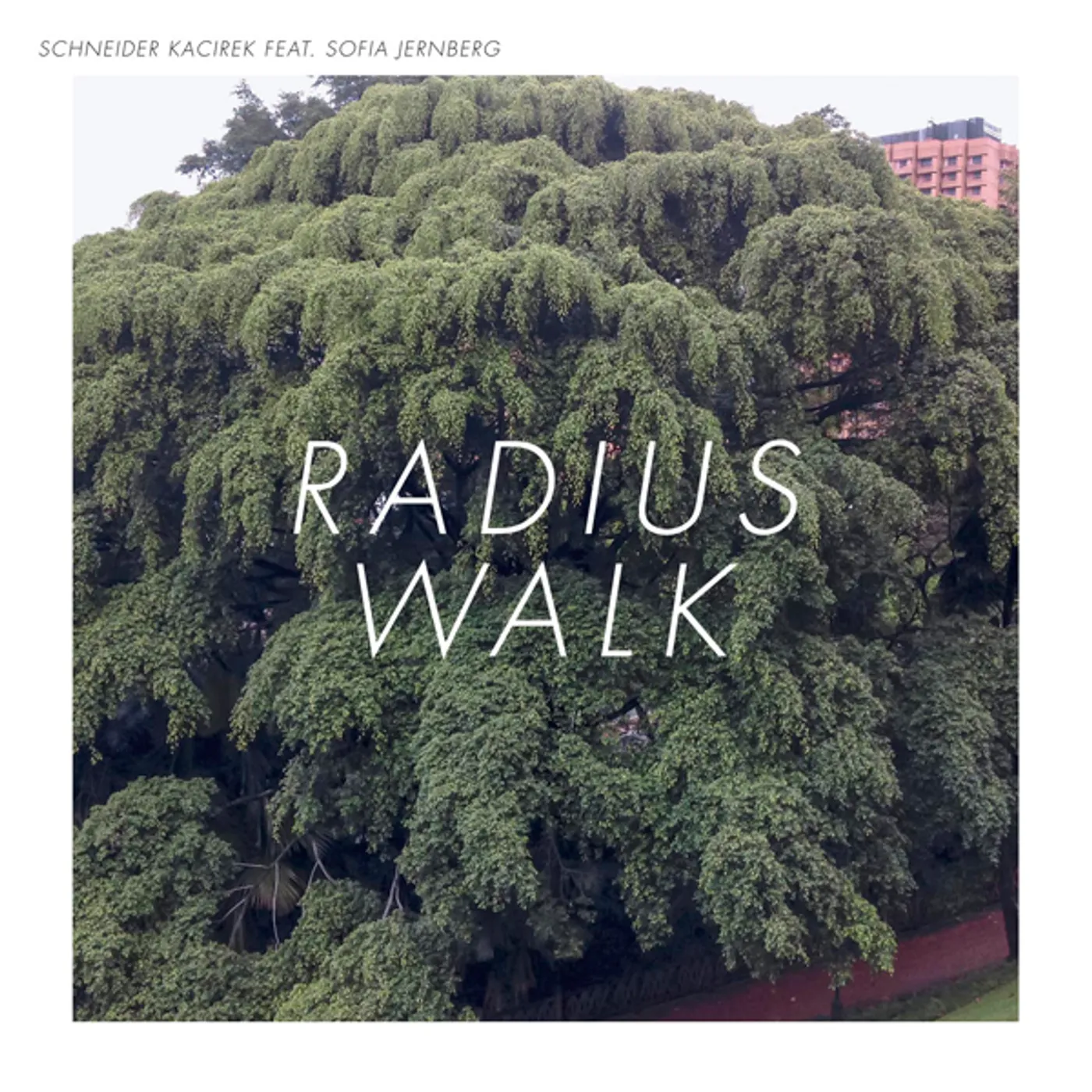 Schneider Kacirek Radius Walk Vinyl Record