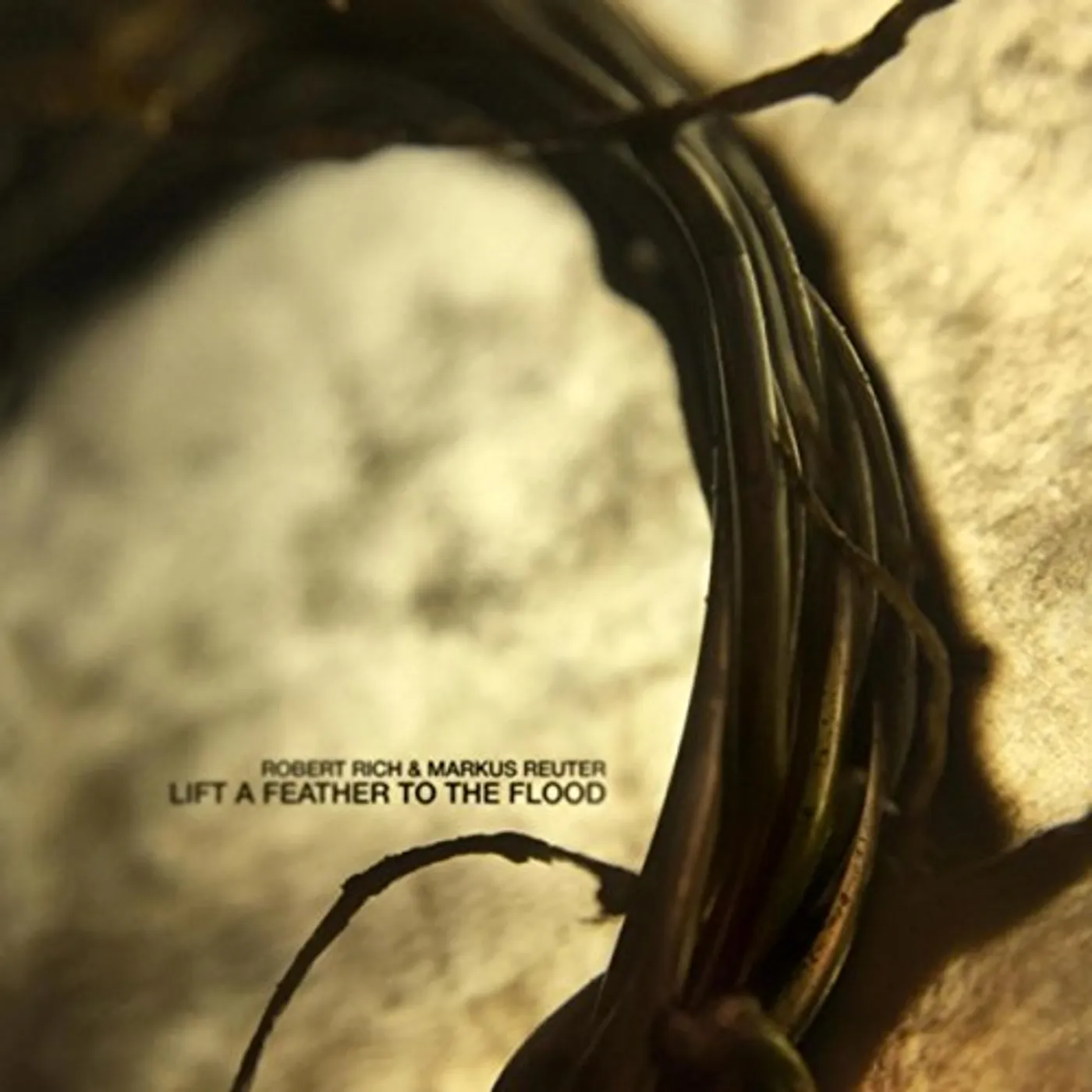 Robert Rich LIFT A FEATHER TO THE FLOOD CD