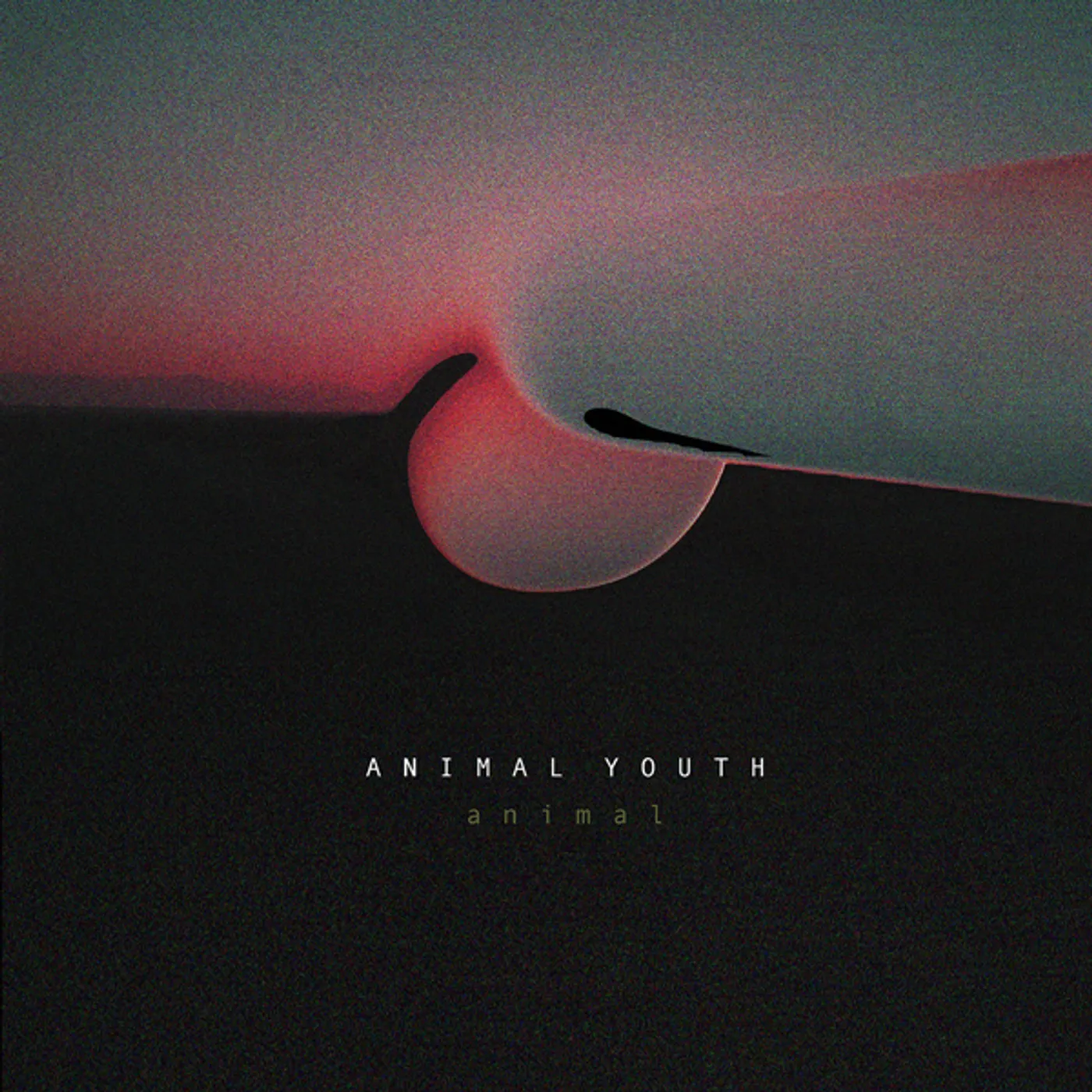 Animal Youth Animal Vinyl Record