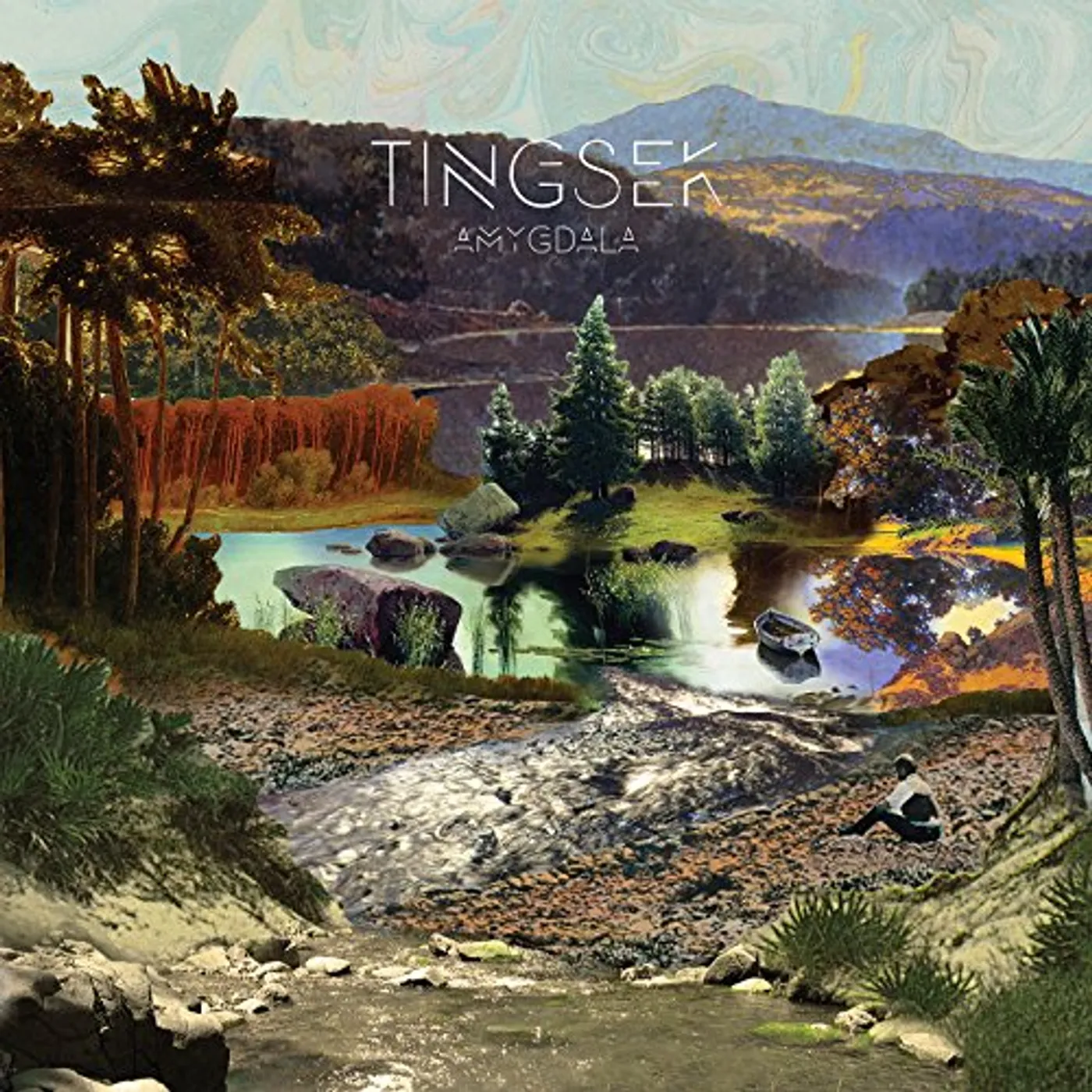 Tingsek Amygdala Vinyl Record