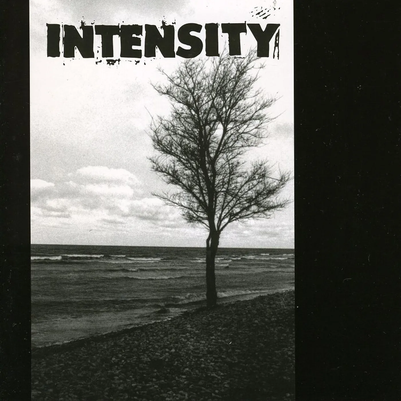 Intensity WASH OF THE LIES CD