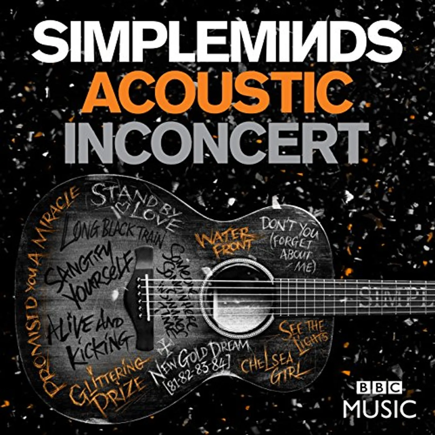 Simple Minds ACOUSTIC IN CONCERT DVD