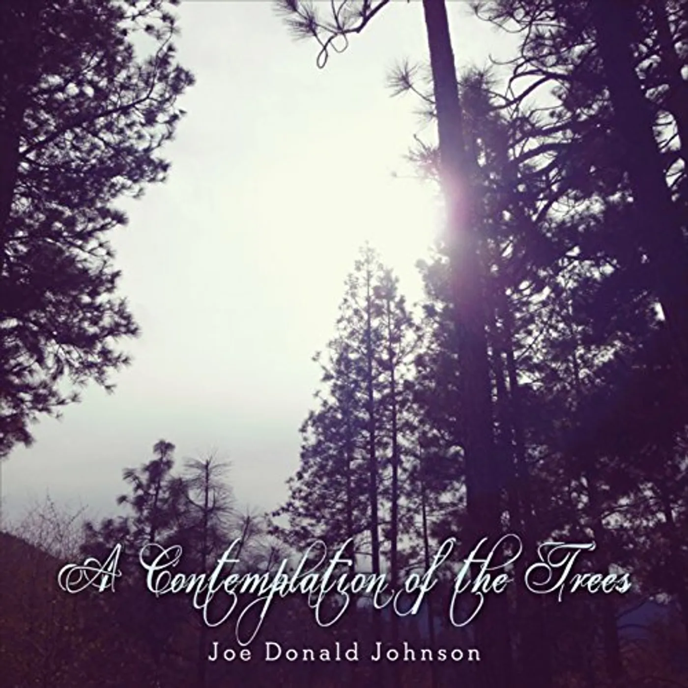 Joe Donald Johnson CONTEMPLATION OF THE TREES CD
