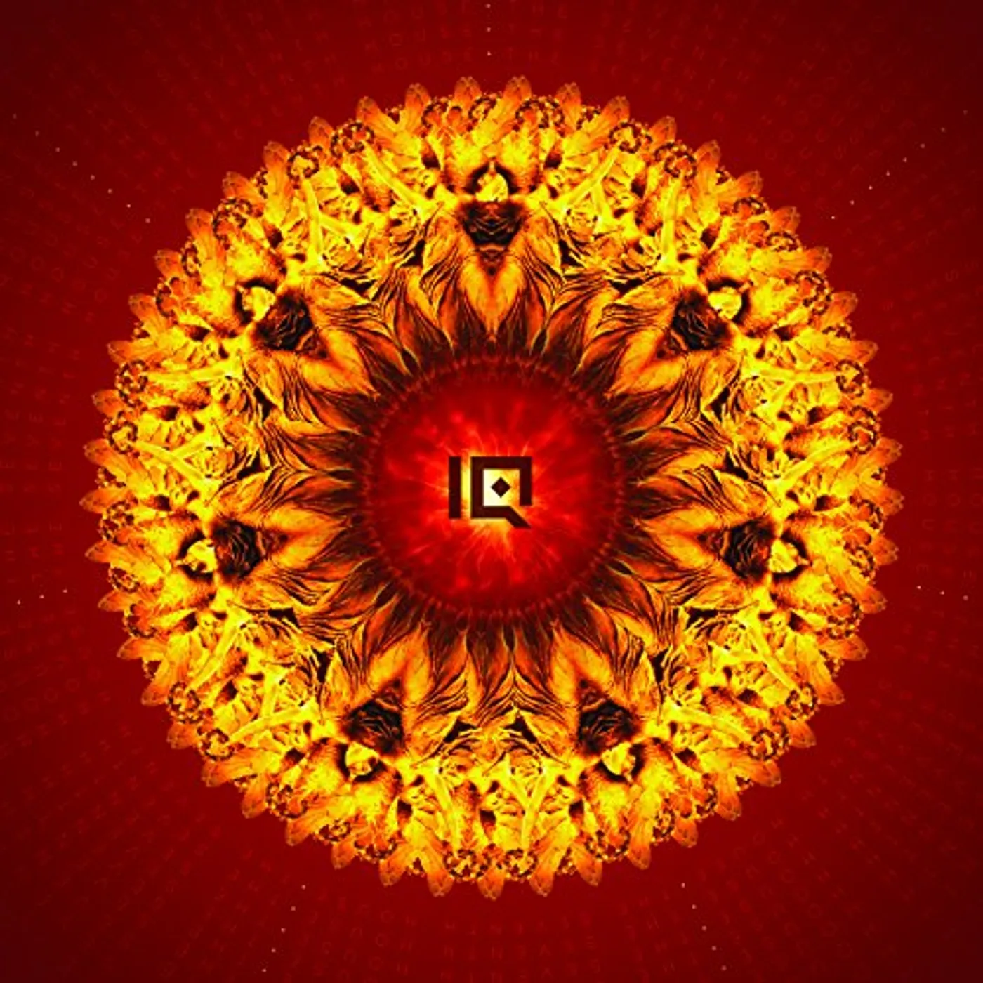 IQ SEVENTH HOUSE Vinyl Record