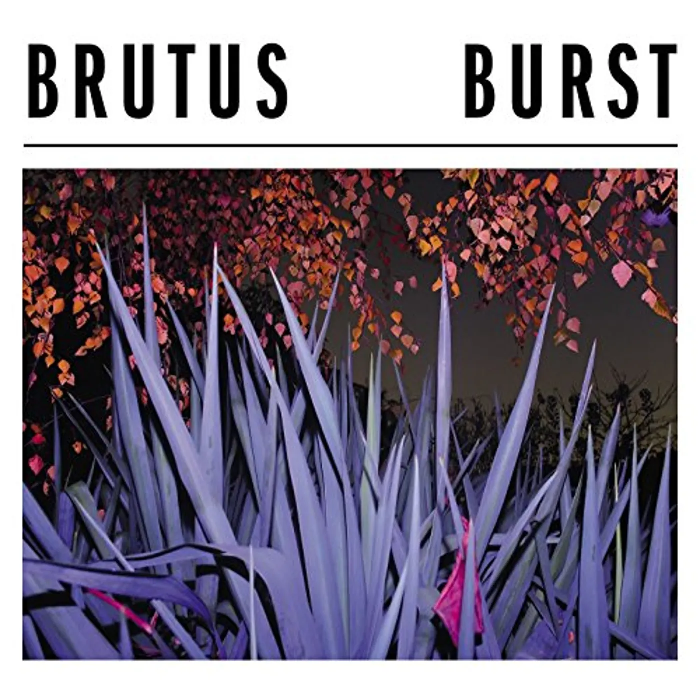 Brutus BURST CD