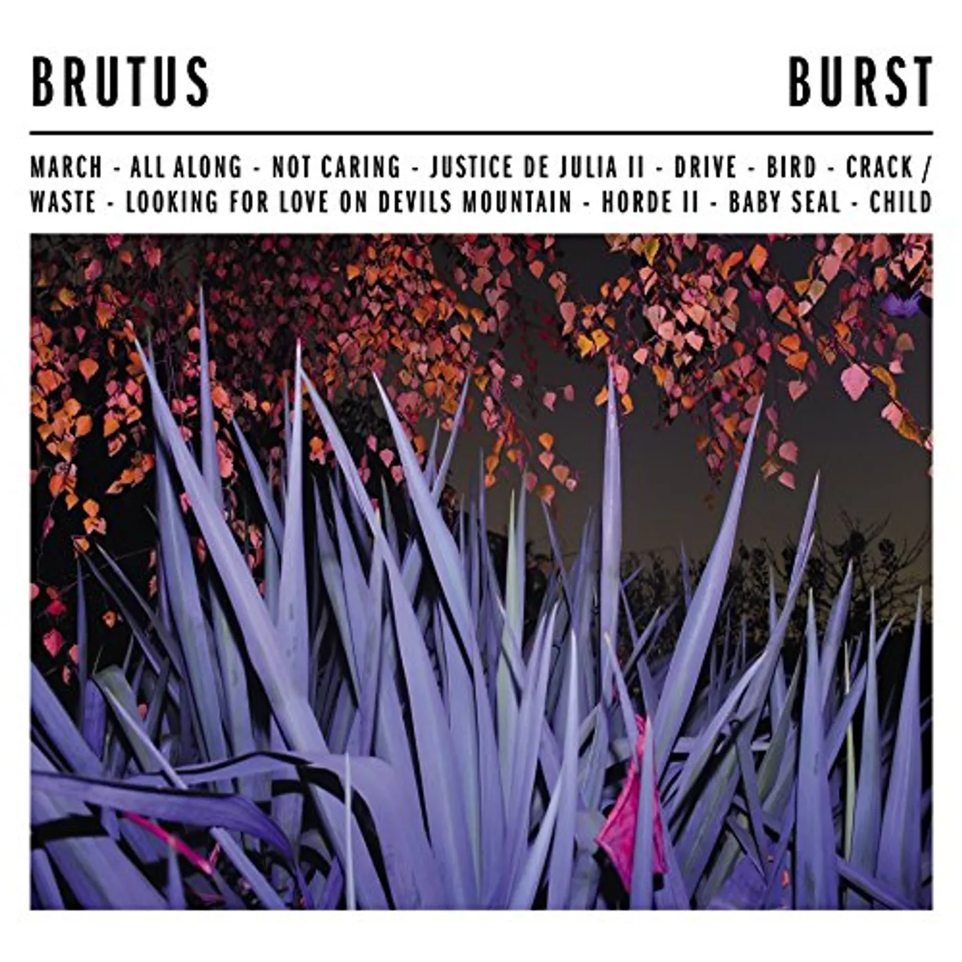 Brutus Burst Vinyl Record