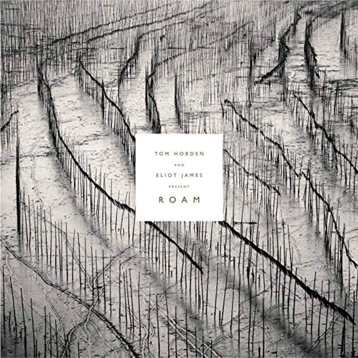 Tom Hobden PRESENT: ROAM CD