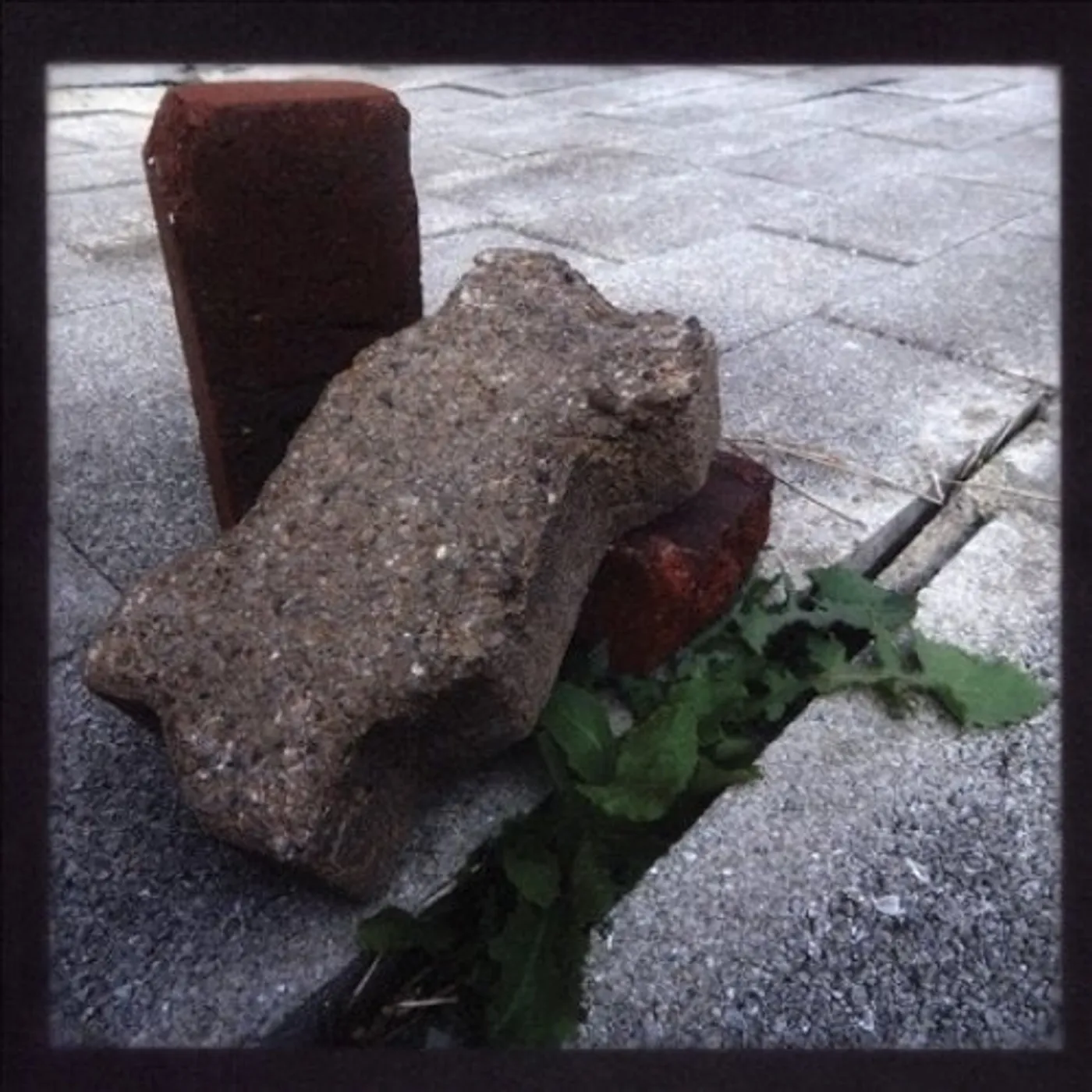Illusion Of Joy STONE THROW FROM A GLASS HOUSE CD