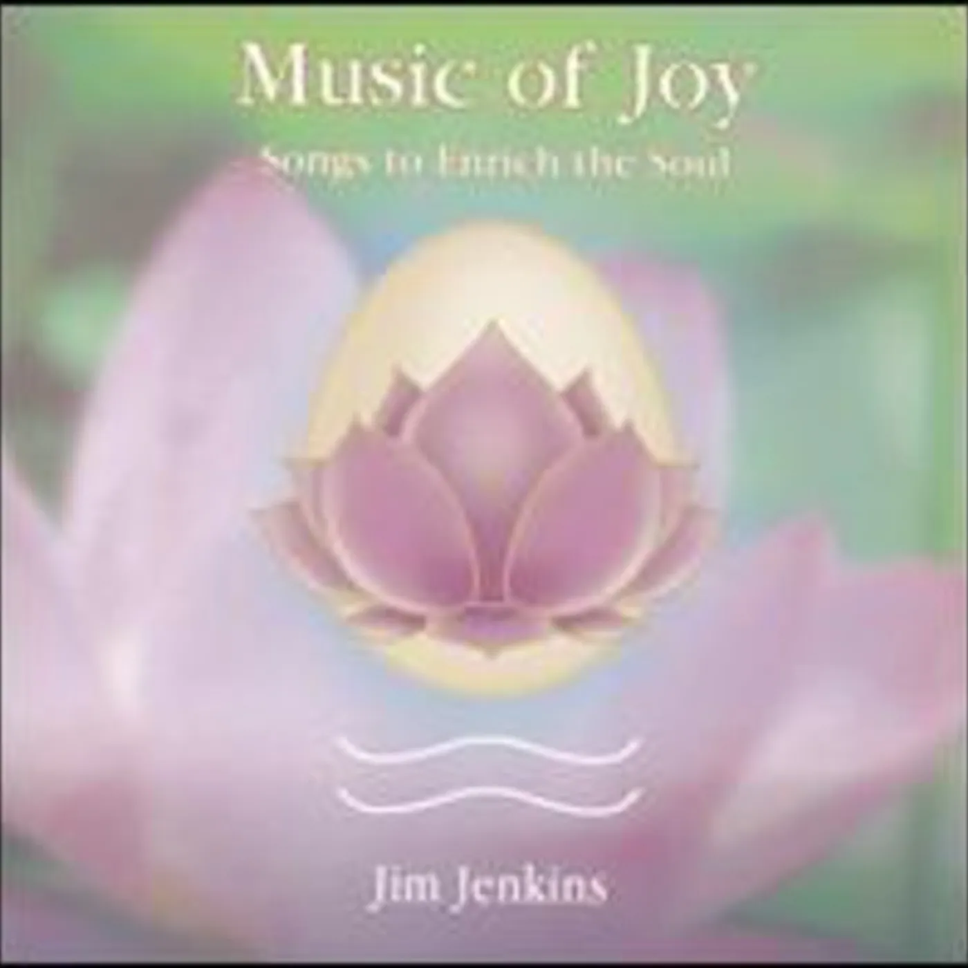 Jim Jenkins MUSIC OF JOY CD