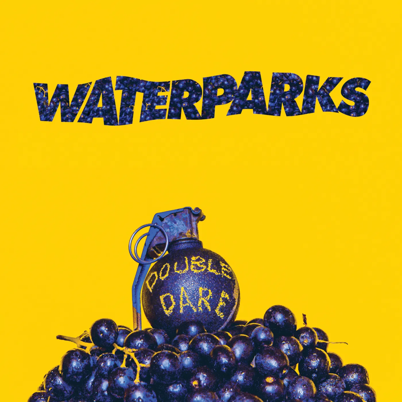 Waterparks Double Dare (Black) Vinyl Record