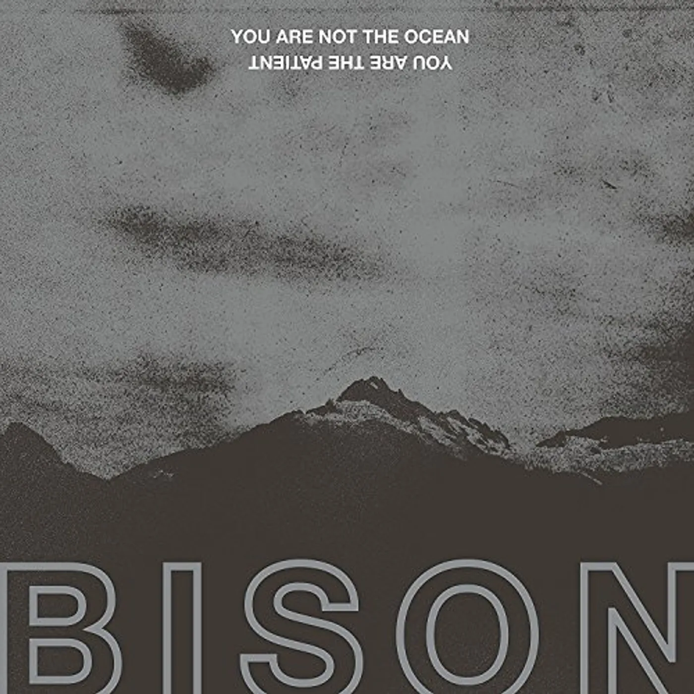 Bison YOU ARE NOT THE OCEAN YOU ARE THE PATIENT CD