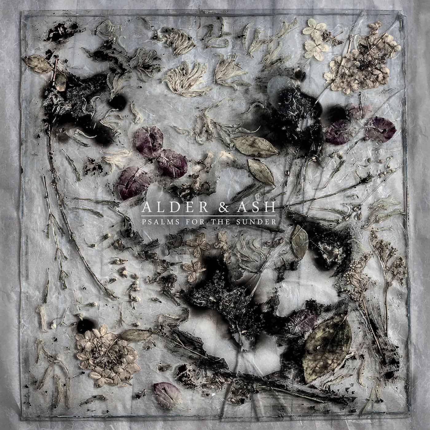 Alder & Ash PSALMS FOR THE SUNDER CD