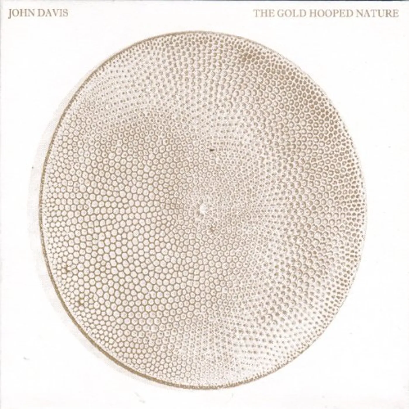 John Davis GOLD HOOPED NATURE CD