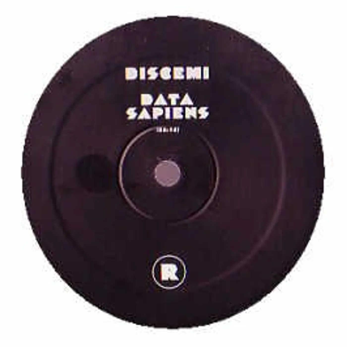 Discemi Data Sapiens Vinyl Record