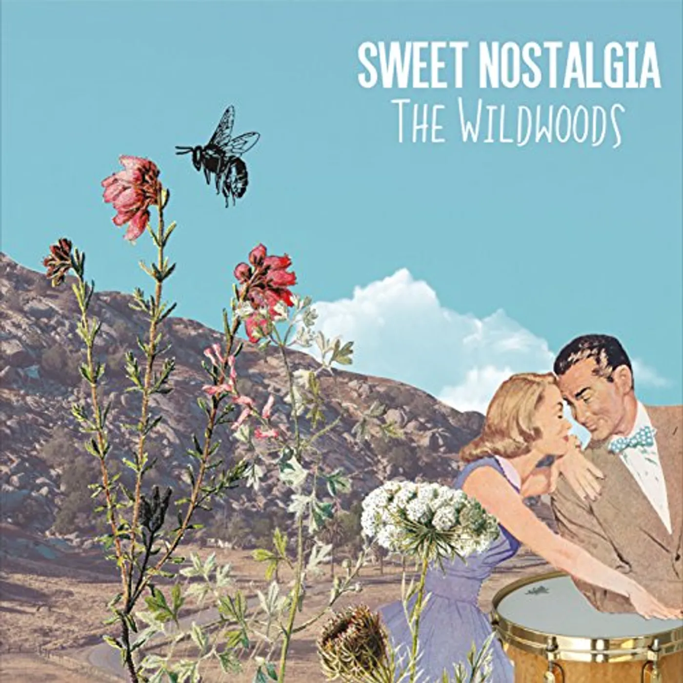 The Wildwoods SWEET NOSTALGIA CD