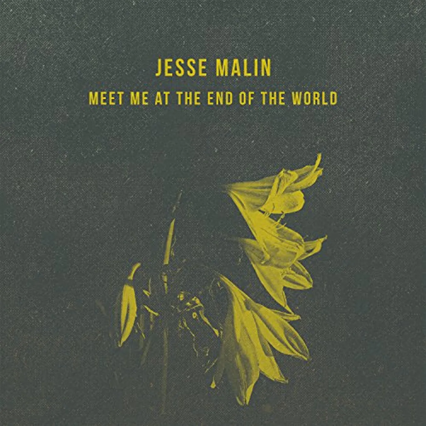 Jesse Malin Meet Me at the End of the World Vinyl Record