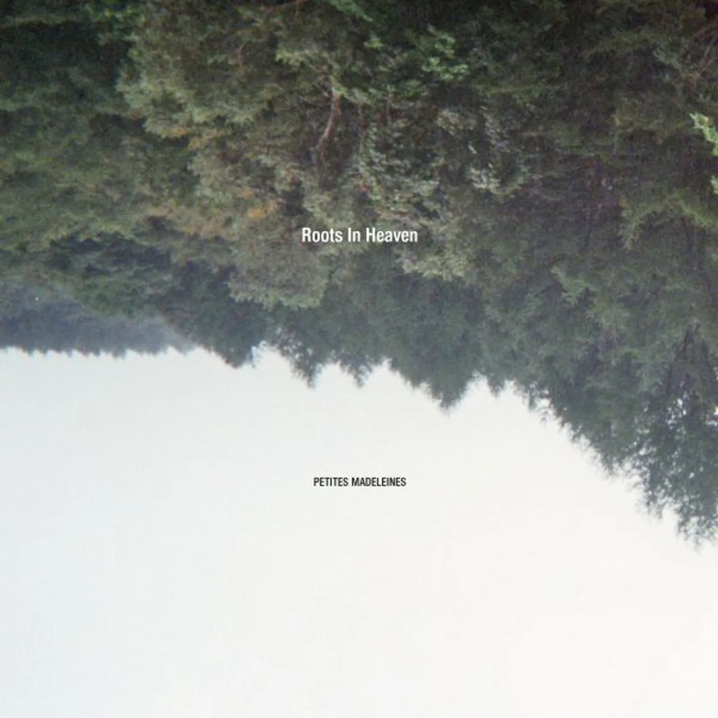 Roots In Heaven Petites Madeleines Vinyl Record