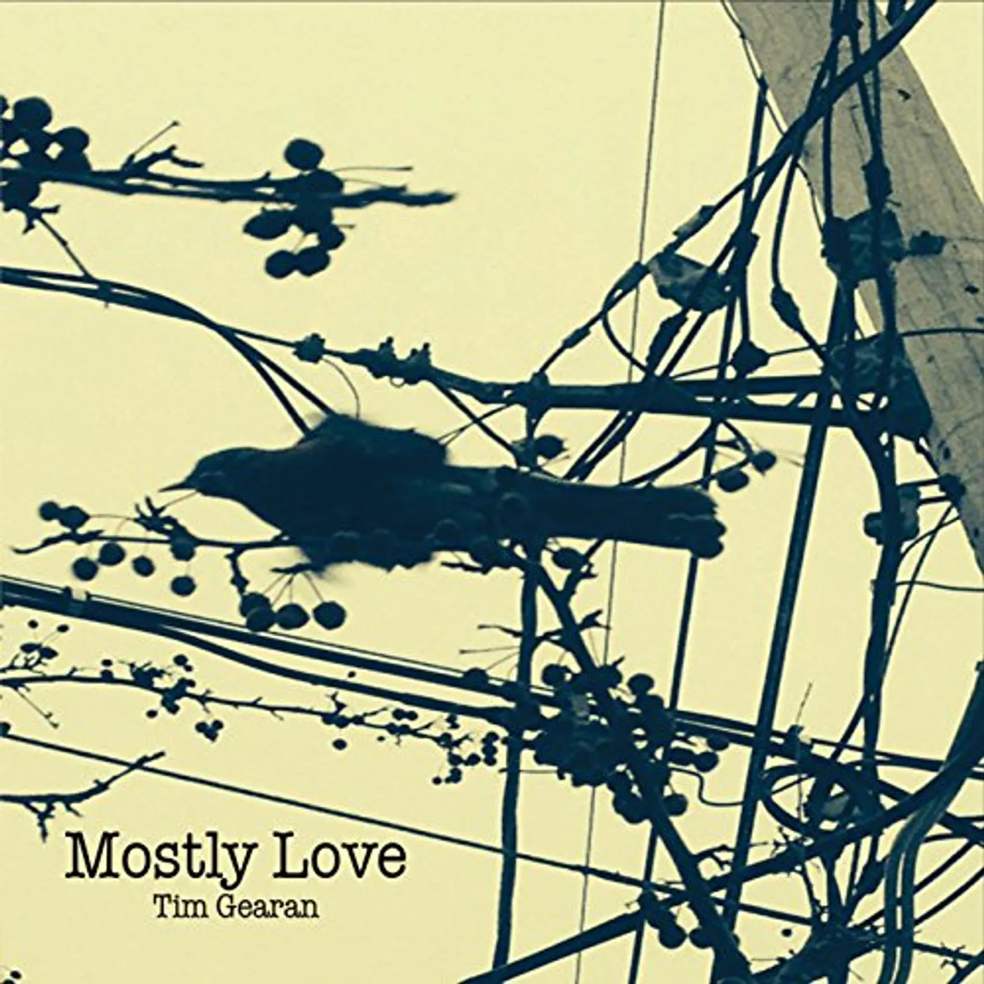 Tim Gearan MOSTLY LOVE CD