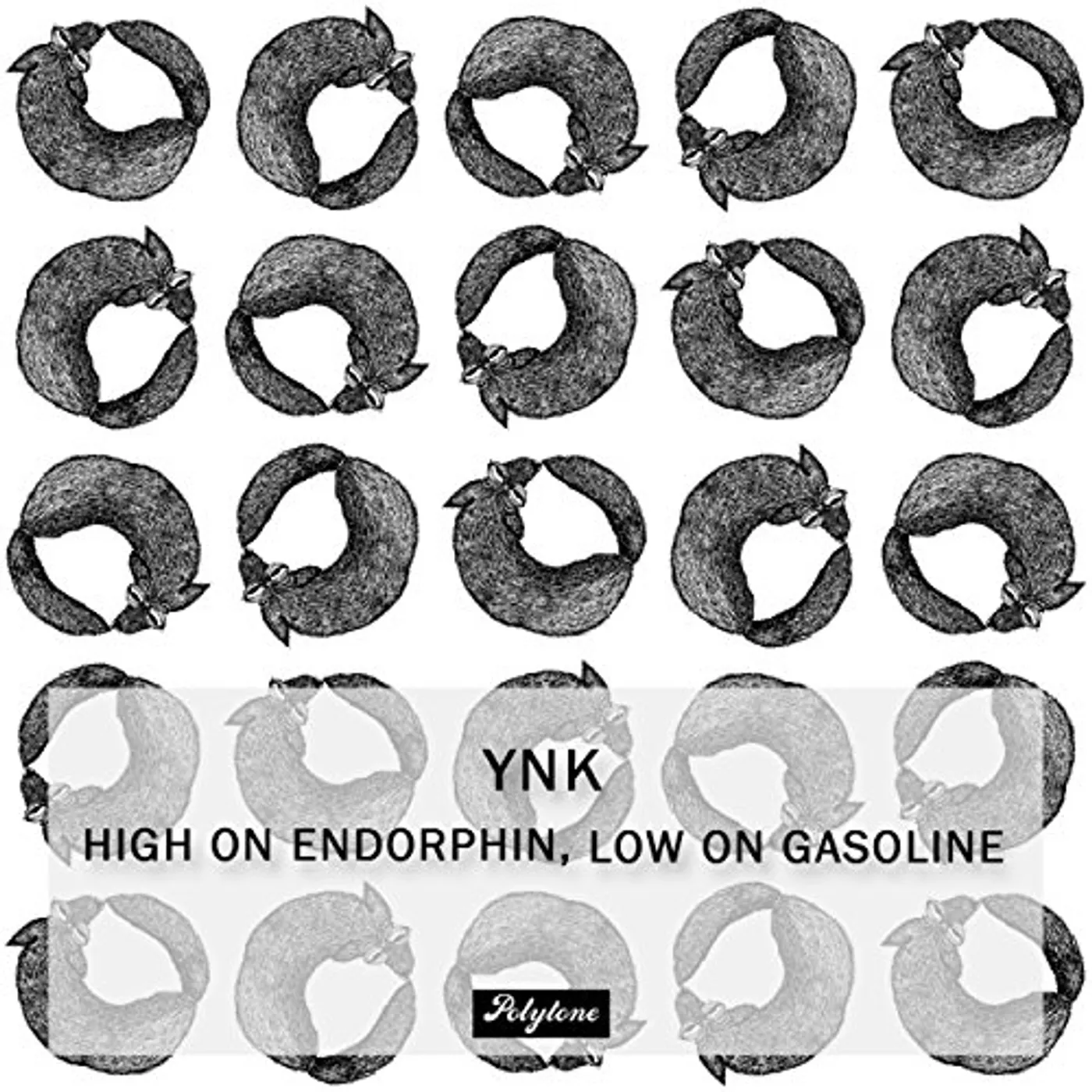 Ynk HIGH ON ENDORPHIN LOW ON GASOLINE Vinyl Record