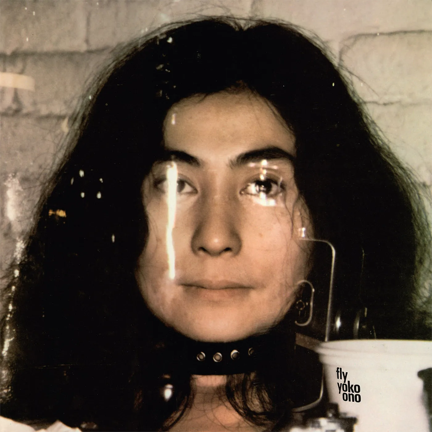 Yoko Ono Fly Vinyl Record