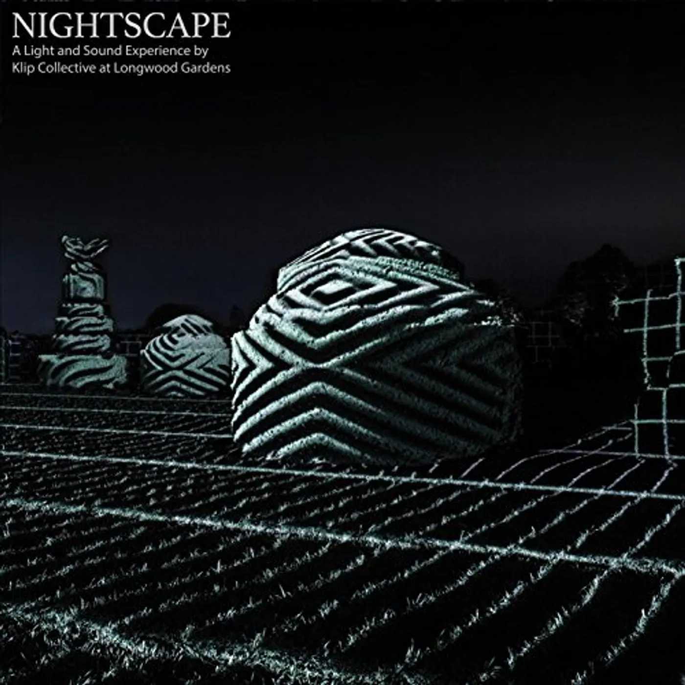 Nightscape: A Light & Sound Experience / Var NIGHTSCAPE: A LIGHT AND SOUND EXPERIENCE / VAR Vinyl Record