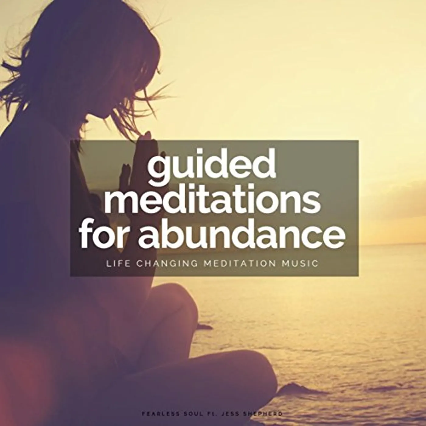 Fearless Soul GUIDED MEDITATIONS FOR ABUNDANCE: LIFE CHANGING CD