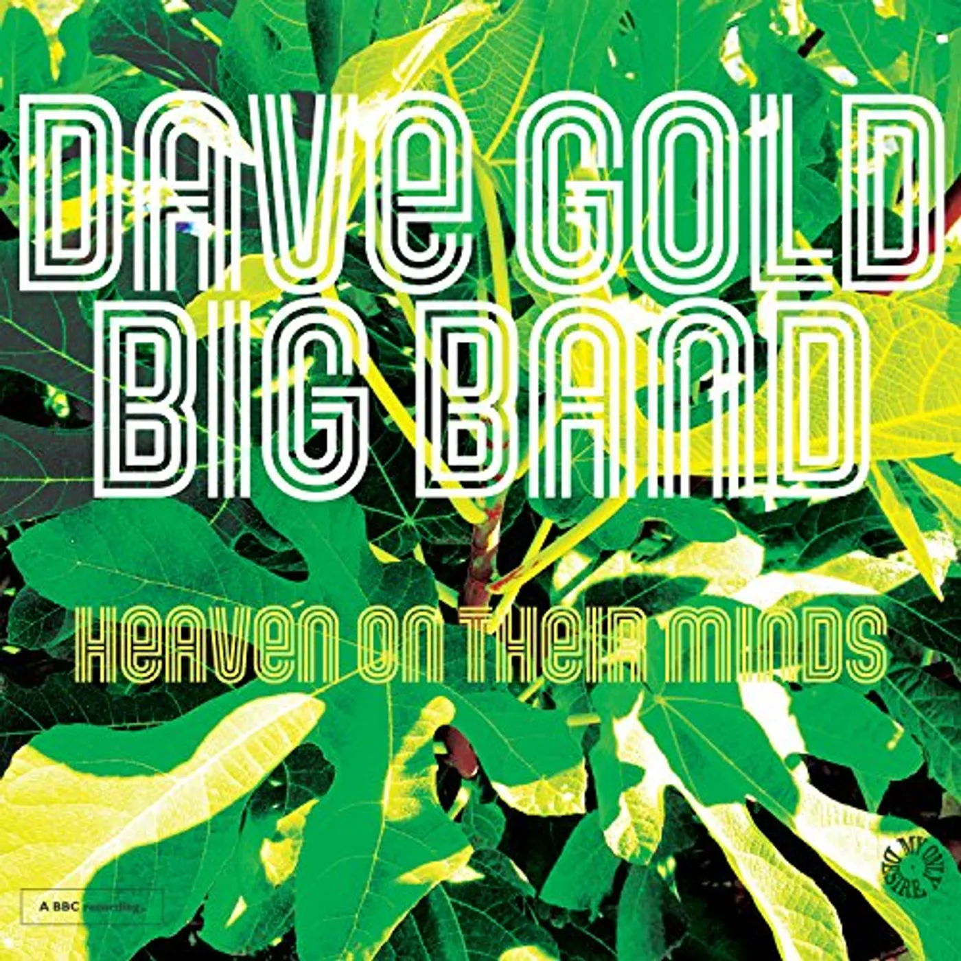 Dave Gold Big Band Heaven on Their Minds Vinyl Record