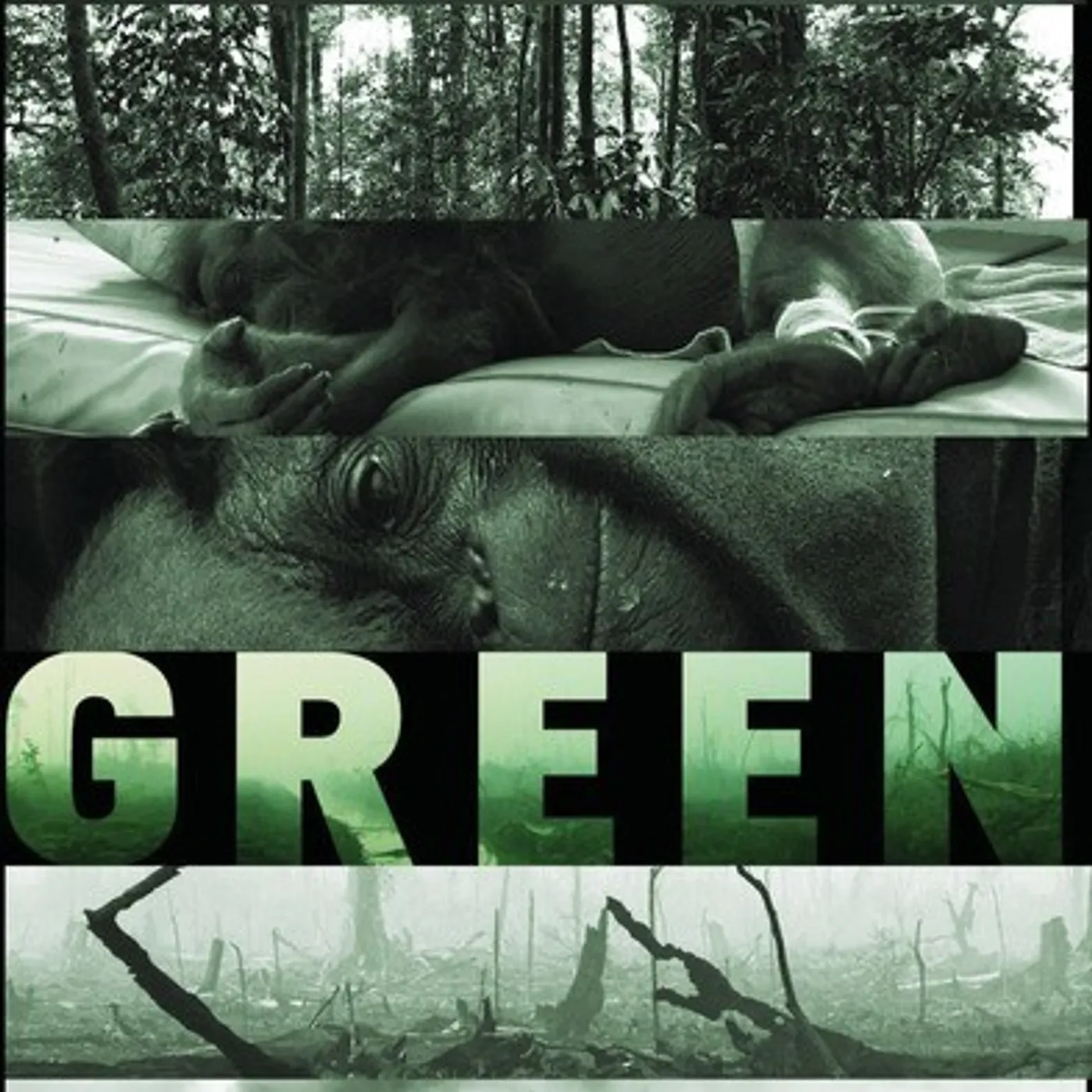 The GreenDVD